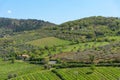 Amazing springtime colorful landscape in Chianti, Tuscany. Italy