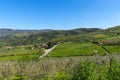 Amazing springtime colorful landscape in Chianti, Tuscany. Italy Royalty Free Stock Photo