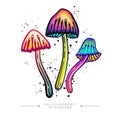 Amazing sticker of three fly agarics. Toadstool concept hand drawn. Toxic fantastic psilocybin mushrooms