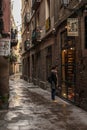 Amazing streets of Barcelona city