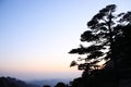 Amazing Stunning View of Huangshan Mountain, Yellow Mountaing. A