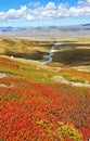 Amazing summer landscap, Plateau Ukok. Altai, Russia