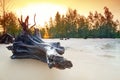 Amazing sunrise on the beach of Koh Kho Khao Royalty Free Stock Photo