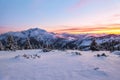 Amazing sunrise. High mountain. Panoramic view. Winter forest. Natural landscape with beautiful pink sky. Snowy background. Royalty Free Stock Photo