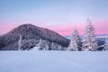 Amazing sunrise. High mountains with snow. Winter forest. A panoramic view of the covered with frost trees in the snowdrifts. Royalty Free Stock Photo