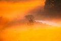 Amazing Sunrise Light Above Misty Landscape. Scenic View Of Foggy Morning In Misty Forest Park Woods. Summer Nature Of Royalty Free Stock Photo