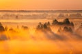 Amazing Sunrise Light Above Misty Landscape. Scenic View Of Foggy Morning In Misty Forest Park Woods. Summer Nature Of Royalty Free Stock Photo