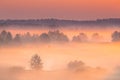 Amazing Sunrise Light Above Misty Landscape. Scenic View Of Foggy Morning In Misty Forest Park Woods. Summer Nature Of Royalty Free Stock Photo