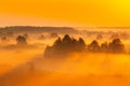 Amazing Sunrise Light Above Misty Landscape. Scenic View Of Foggy Morning In Misty Forest Park Woods. Summer Nature Of Royalty Free Stock Photo