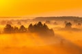 Amazing Sunrise Light Above Misty Landscape. Scenic View Of Foggy Morning In Misty Forest Park Woods. Summer Nature Of Royalty Free Stock Photo