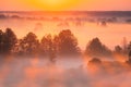 Amazing Sunrise Light Above Misty Landscape. Scenic View Of Foggy Morning In Misty Forest Park Woods. Summer Nature Of Royalty Free Stock Photo