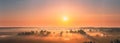 Amazing Sunrise Sunset Over Misty Landscape. Scenic View Of Foggy Morning Sky With Rising Sun Above Misty Forest And