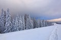 Amazing sunrise. Winter forest. Landscape of high mountains. Trail leading to the trees in the snowdrifts. Wallpaper background. Royalty Free Stock Photo