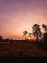 Amazing sunrise at Wonogiri village with tree Silhouette Royalty Free Stock Photo