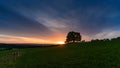 Blue sky and clouds. Meadow and cows. Amazing sunset background