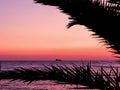 Ship floating far away on the sea under colors of sunset