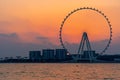 Amazing sunset colors over the sea view to the Ain Dubai, giant Ferris at Bluewaters Island close to JBR beach. Royalty Free Stock Photo