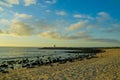 Amazing sunset galapagos beach with sealions and Royalty Free Stock Photo