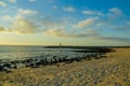 Amazing sunset galapagos beach with sealions and