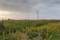 Sunset landscape from Kaliakra Cape at Black Sea Coast, Dobrich Region, Bulgaria Royalty Free Stock Photo