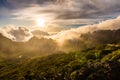 Amazing sunset landscape view Maska canyon in rural park Teno on Tenerife island Spain Royalty Free Stock Photo