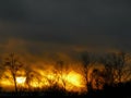 Amazing sunset like a firestorm, dark siluates of trees, Dolgoprudniy, Moscow, Russia