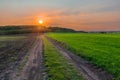 An amazing sunset over a dirt road leading to the forest Royalty Free Stock Photo