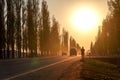 Amazing Sunset over the road with cars in spring