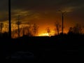 Amazing golden sunset, trees like on fire, Dolgoprudniy, Moscow, Russia