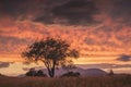 Amazing sunset with red clouds in a sky Royalty Free Stock Photo