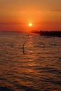 Amazing sunset on the sea in Turkey