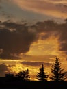 Amazing sunset sky with dramatic clouds and trees silhouettes. Golden sky landscape