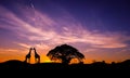 Amazing sunset and sunrise.Panorama silhouette tree on africa.Dark tree on open field dramatic sunrise.Safari theme. Royalty Free Stock Photo