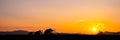 Amazing sunset and sunrise.Panorama silhouette tree on africa.Dark tree on open field dramatic sunrise.Safari theme. Royalty Free Stock Photo