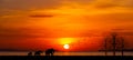 Amazing sunset and sunrise.Panorama silhouette tree on africa.Dark tree on open field dramatic sunrise.Safari theme. Royalty Free Stock Photo