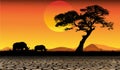 Amazing sunset and sunrise.Panorama silhouette tree on africa.Dark tree on open field dramatic sunrise.Safari theme.Giraffes. Royalty Free Stock Photo