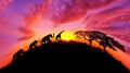 Amazing sunset and sunrise.Panorama silhouette tree on africa.Dark tree on open field dramatic sunrise.Safari theme.Giraffes Royalty Free Stock Photo