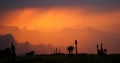 Amazing sunset with tree silhouettes in Ethiopia