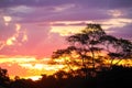 Amazing sunset in tropical jungle in Brazil Royalty Free Stock Photo