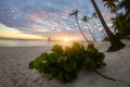 Amazing sunset view of Caribbean tropical paradise beach with white sand, coconut palms, sea and colored sky with sun Royalty Free Stock Photo