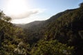 Amazing sunset view in Kondalilla National Park