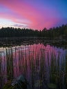 Amazing Sunset View - Lusi, Finland