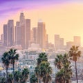 Amazing sunset view with palm tree and downtown Los Angeles. California, USA Royalty Free Stock Photo