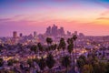 Amazing sunset view with palm tree and downtown Los Angeles. California, USA Royalty Free Stock Photo