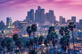 Amazing sunset view with palm tree and downtown Los Angeles. California, USA Royalty Free Stock Photo