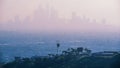 Amazing sunset view with palm tree and downtown Los Angeles. California, USA Royalty Free Stock Photo