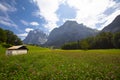 Grindelwald, Bernese Oberland, Switzerland, Europe Royalty Free Stock Photo