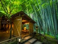 Amazing Tea house in a Japanese Bamboo Forest - TOKYO, JAPAN - JUNE 17, 2018