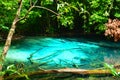 Amazing Thailand emerald pool in Krabi Royalty Free Stock Photo