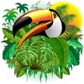 Toco Toucan Wild Exotic Bird on Tropical Jungle Vector Illustration